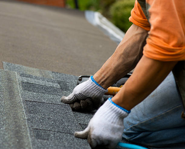 Best Metal Roofing Contractor  in Reno, TX